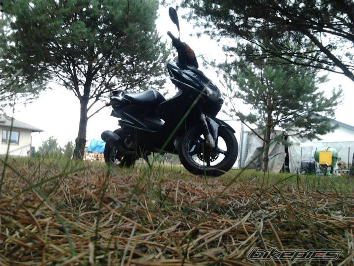 Photo 2345180