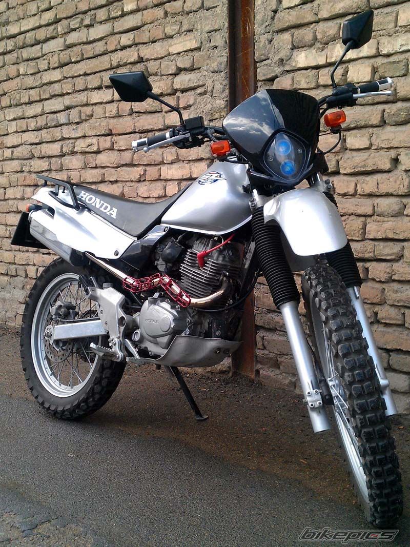 Photo 2345296