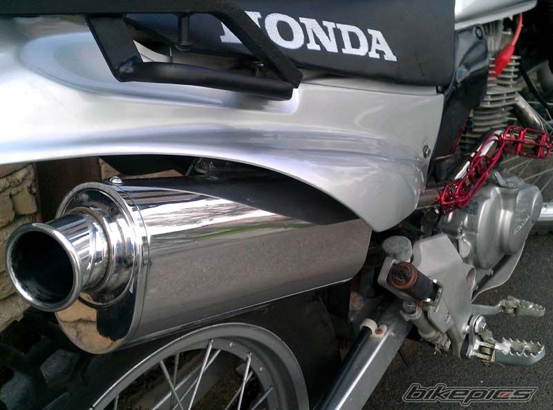 Photo 2345299