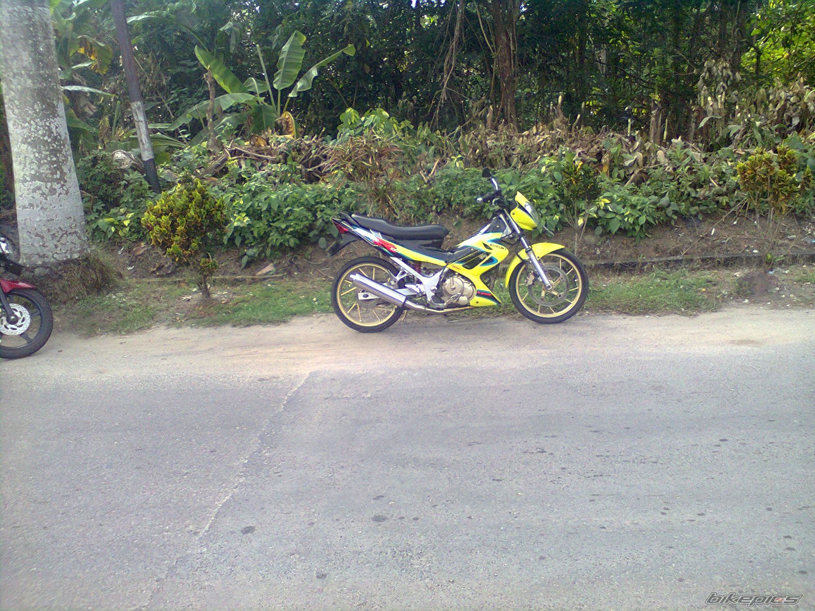 Photo 2345363