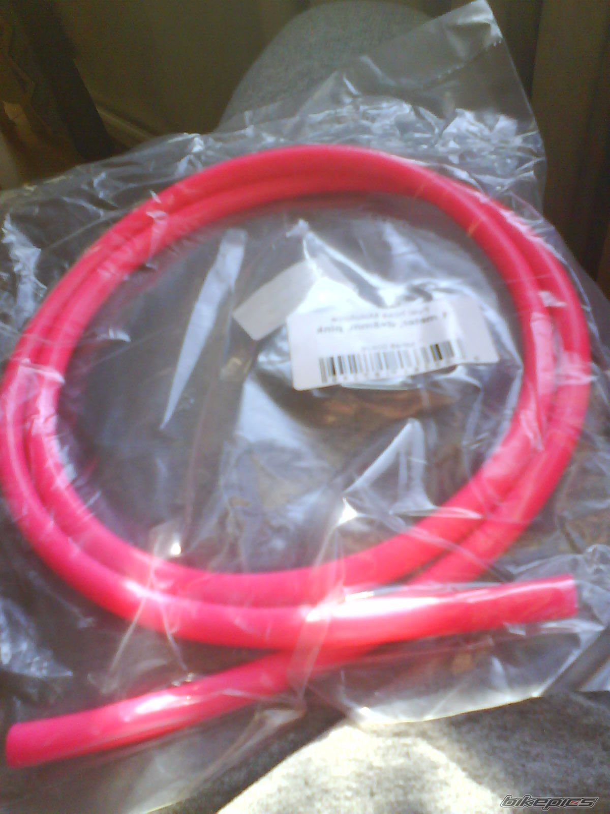 Photo 2345374
