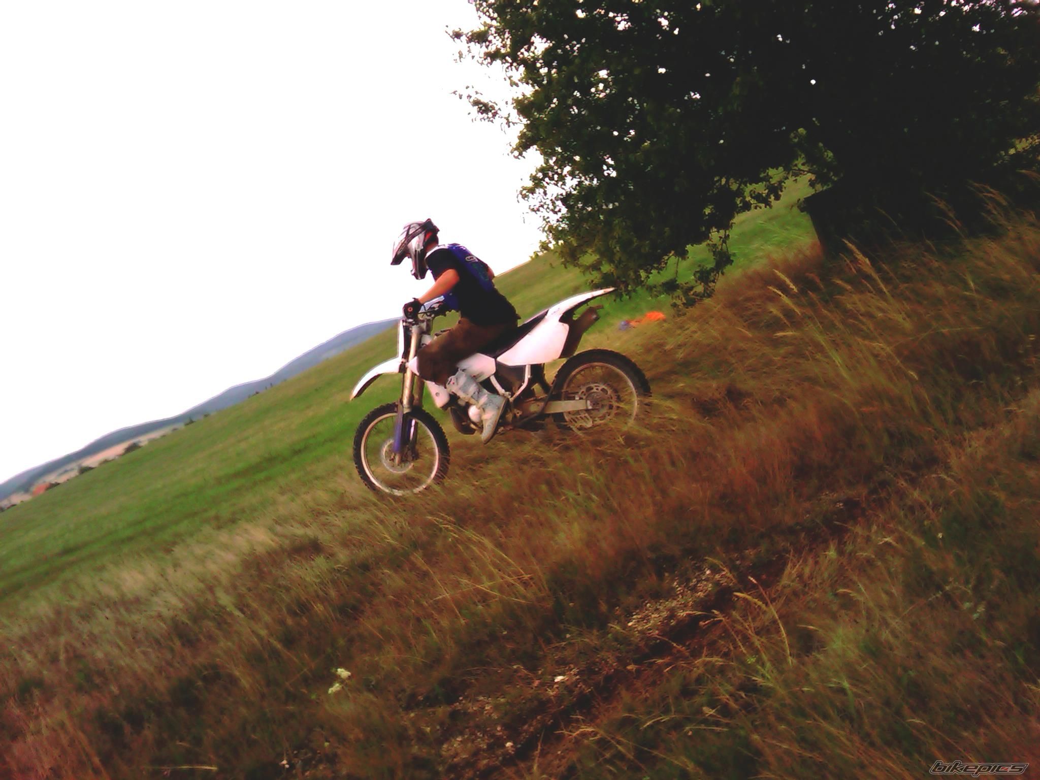Photo 2345411