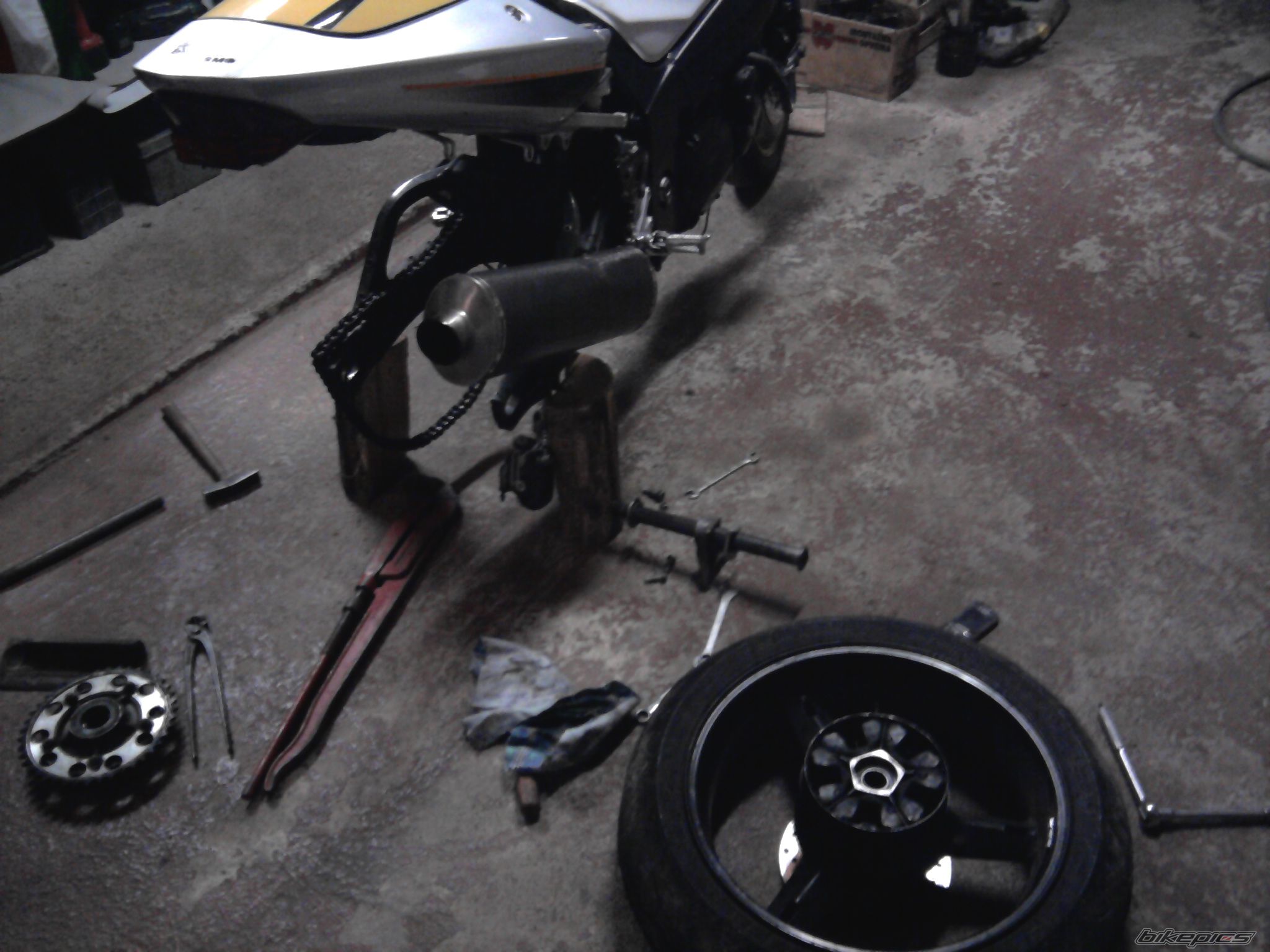 Photo 2345429