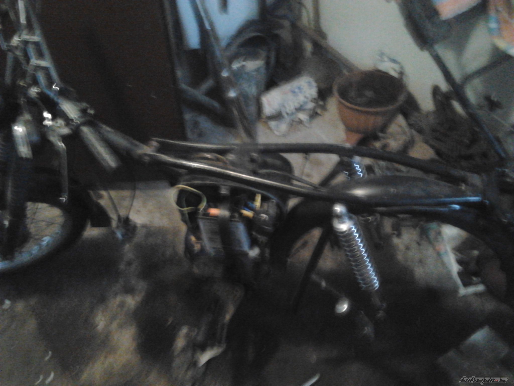 Photo 2345449
