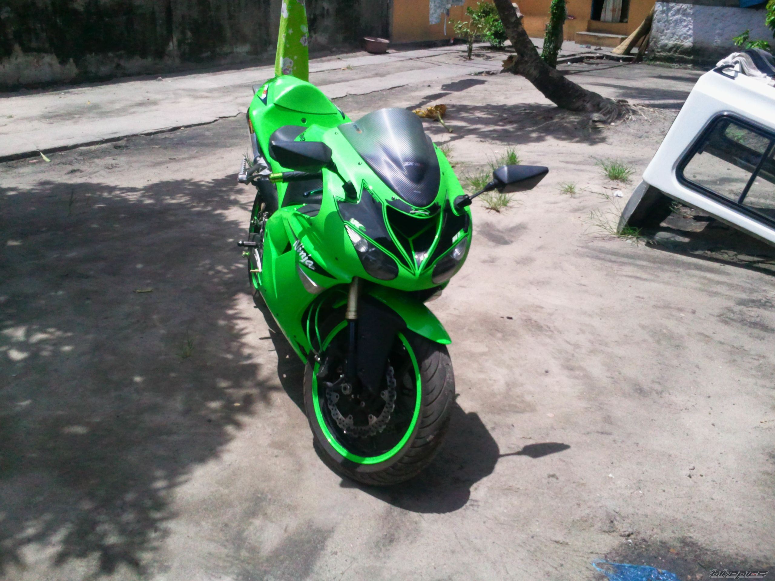 Photo 2345603