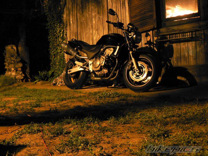 Photo 2345739