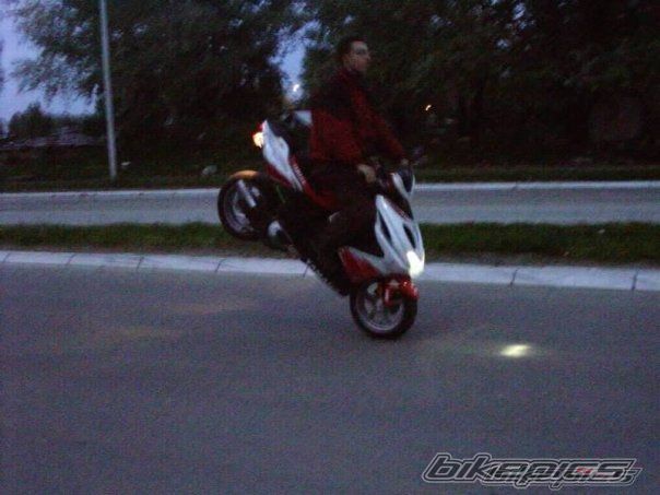 Photo 2345748