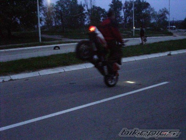 Photo 2345749