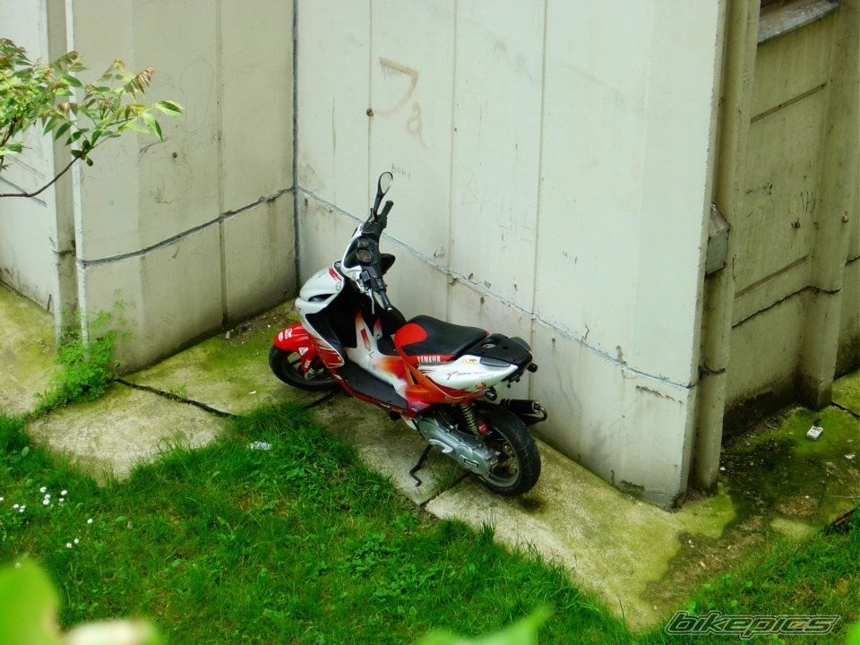 Photo 2345750