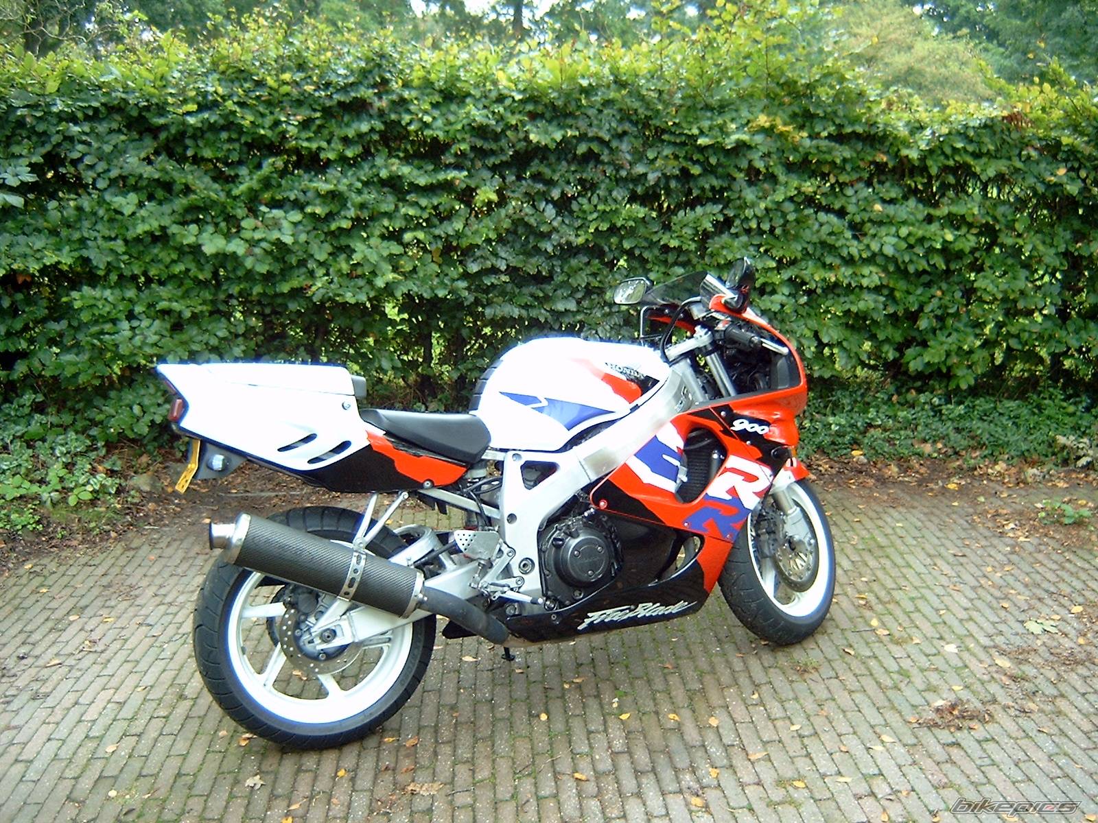 Photo 234581