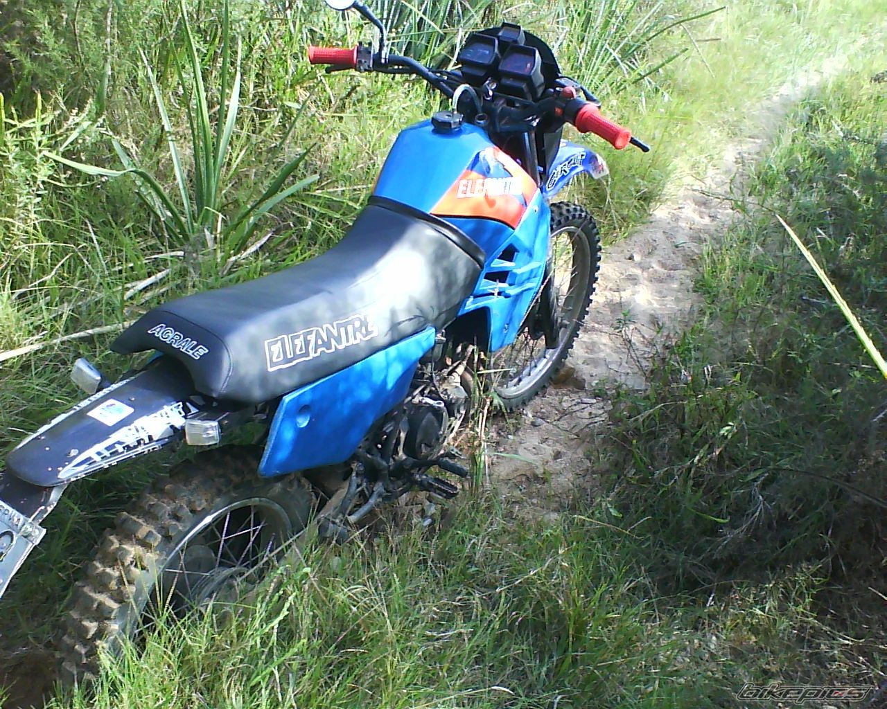Photo 2346117