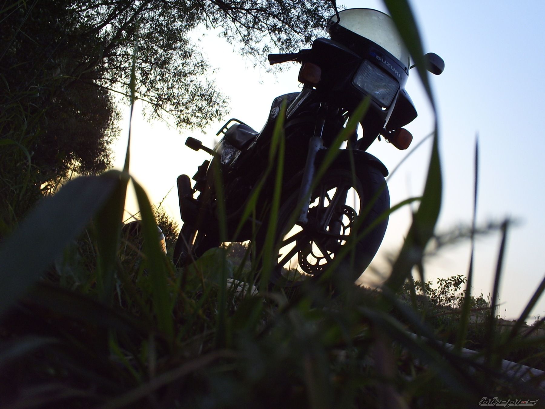 Photo 2346159