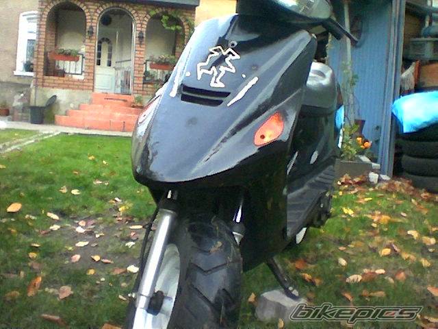 Photo 234618