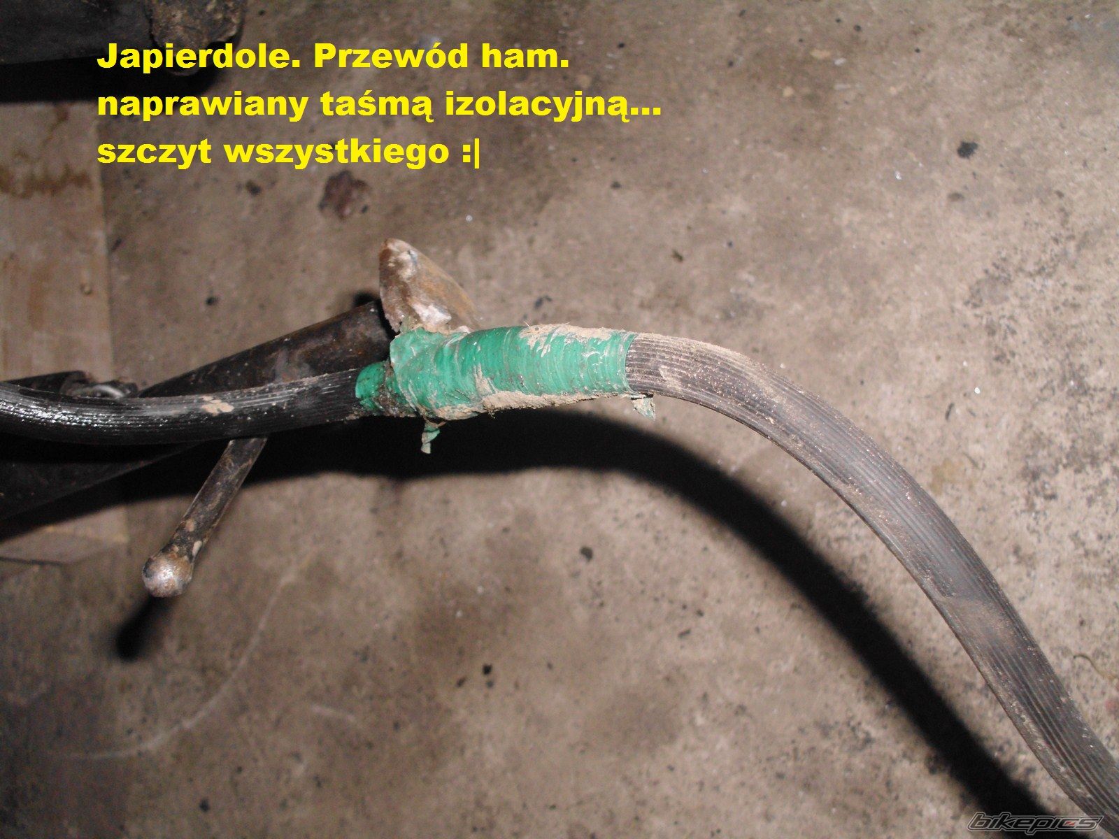 Photo 2346230