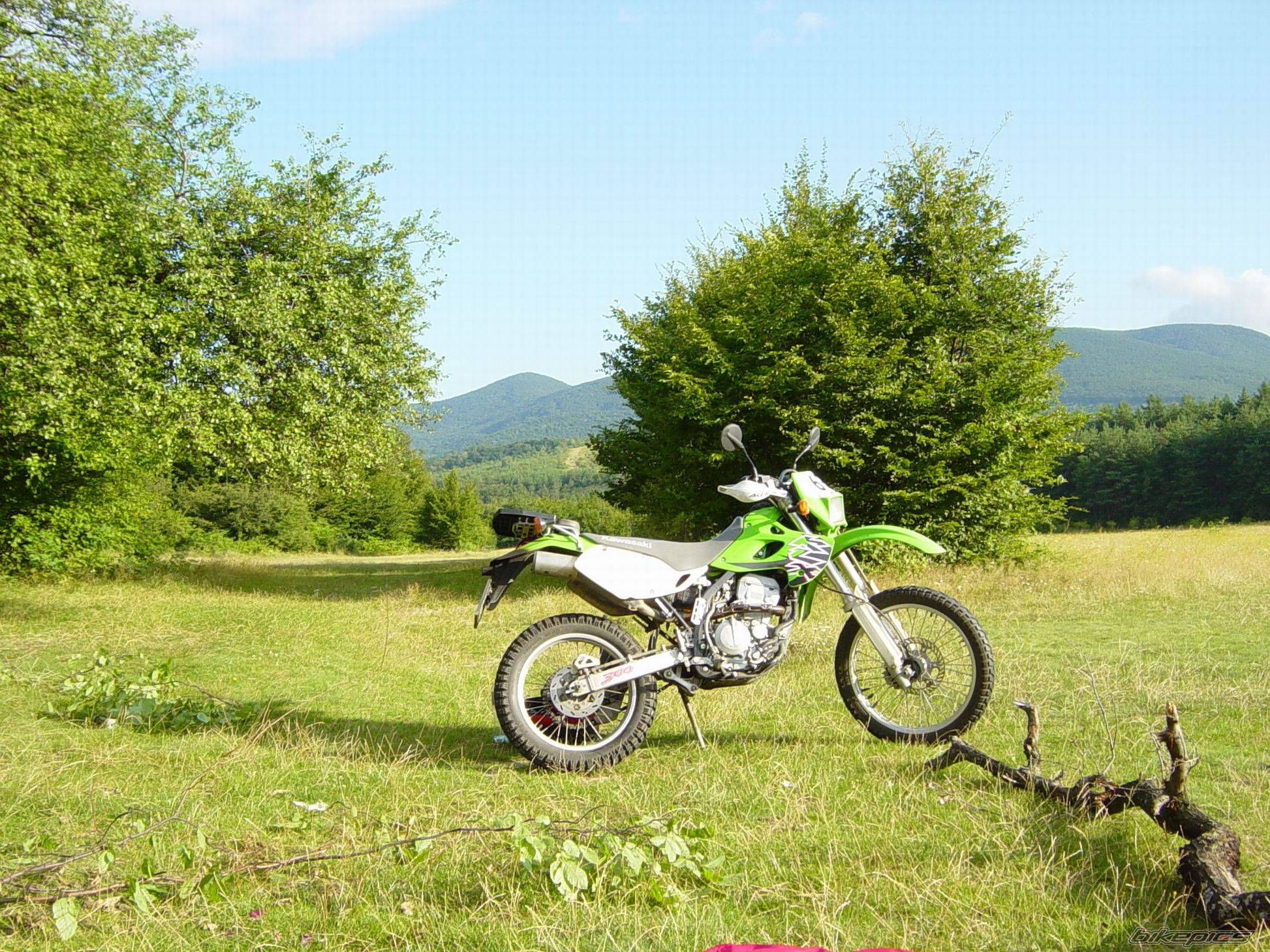 Photo 234627