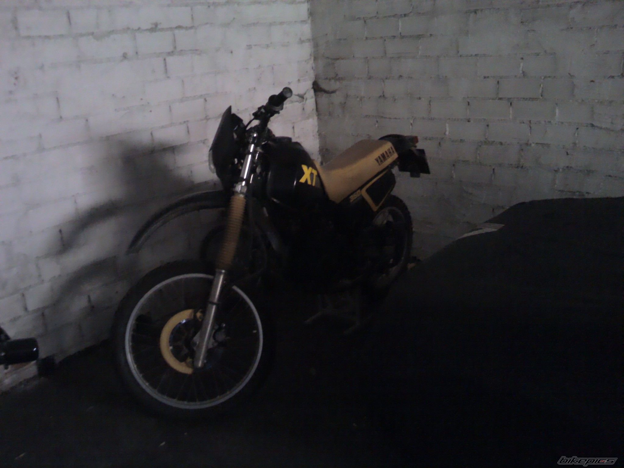 Photo 2346294