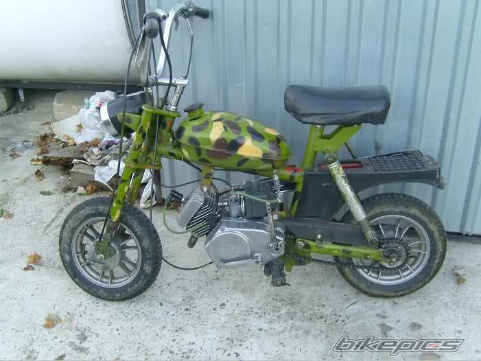 Photo 2346468