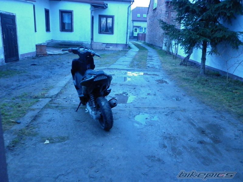 Photo 2346501