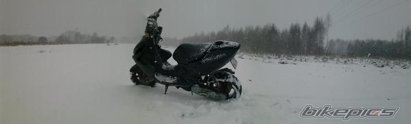 Photo 2346507