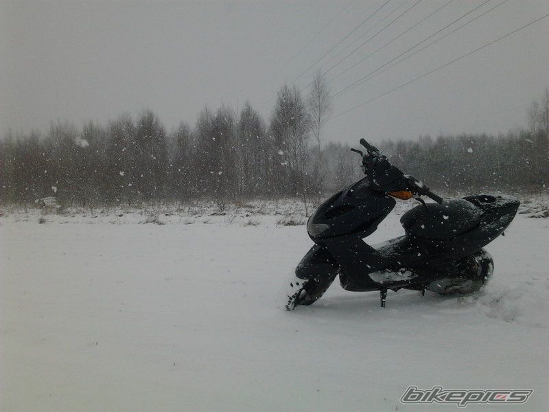Photo 2346508