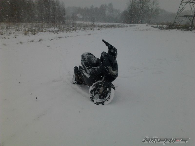 Photo 2346509
