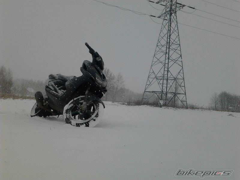 Photo 2346510