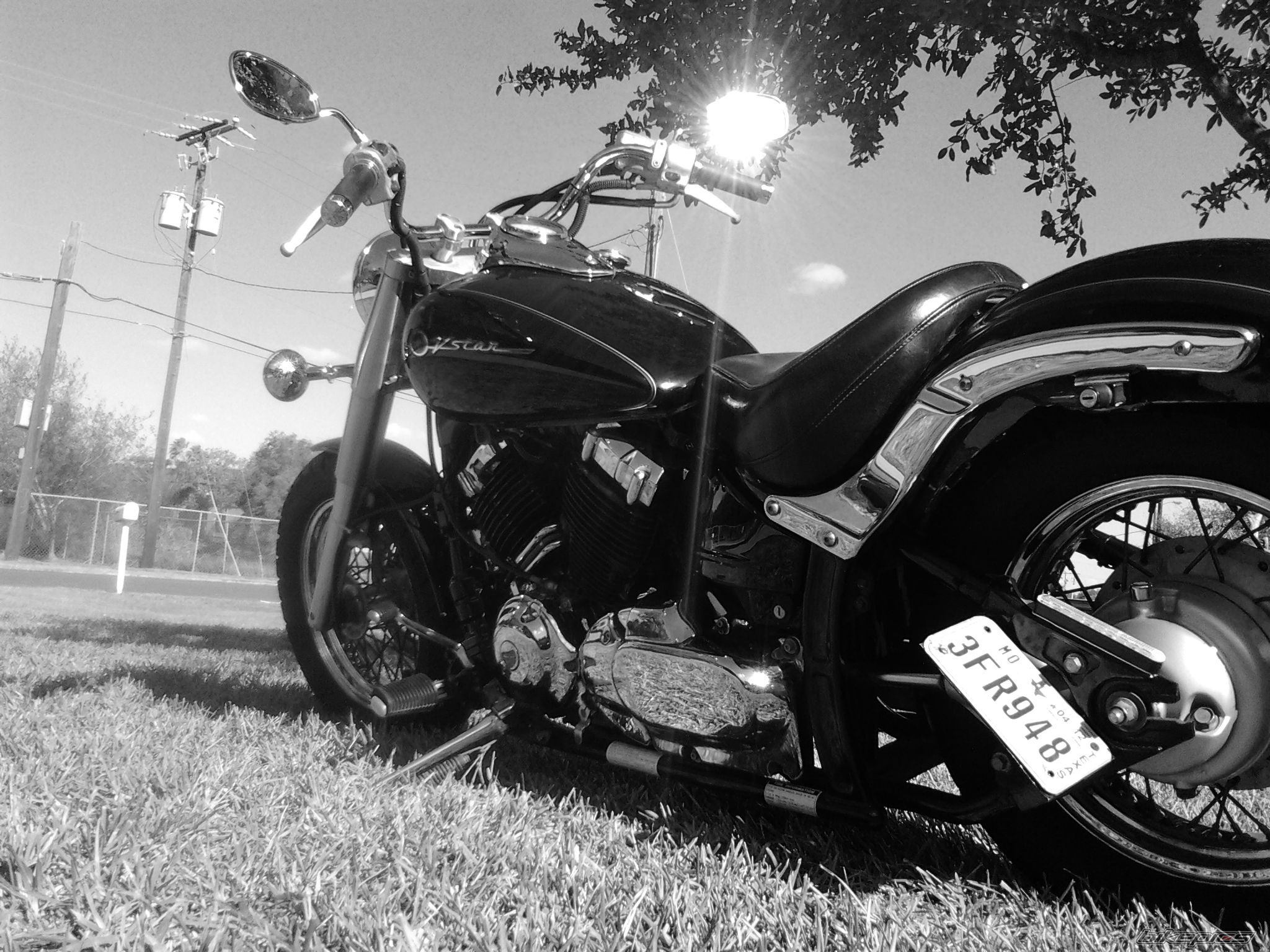 Photo 2346534