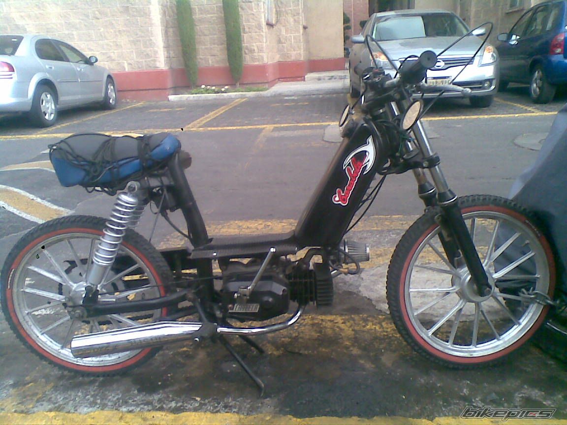 Photo 2346537
