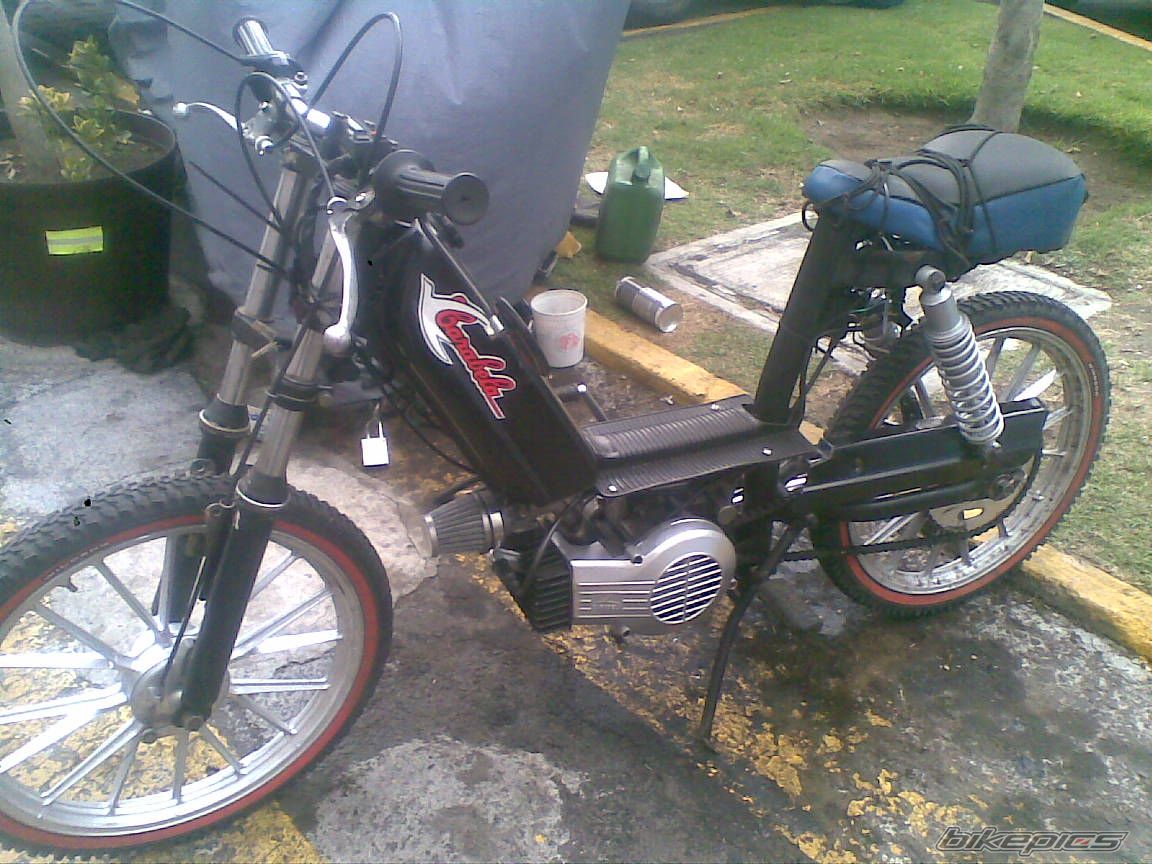 Photo 2346538