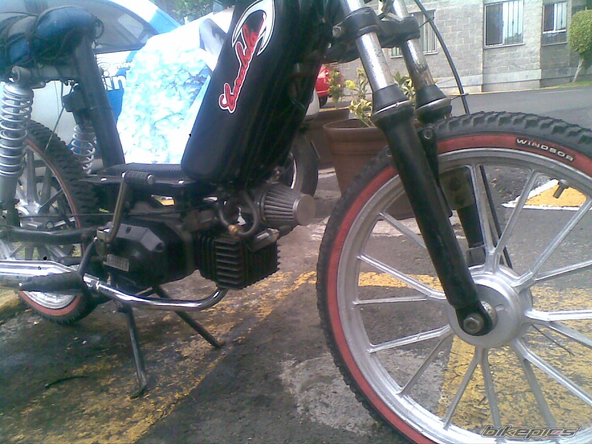 Photo 2346539