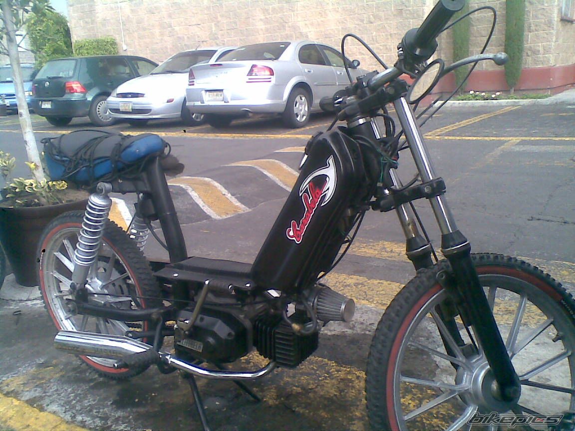 Photo 2346541