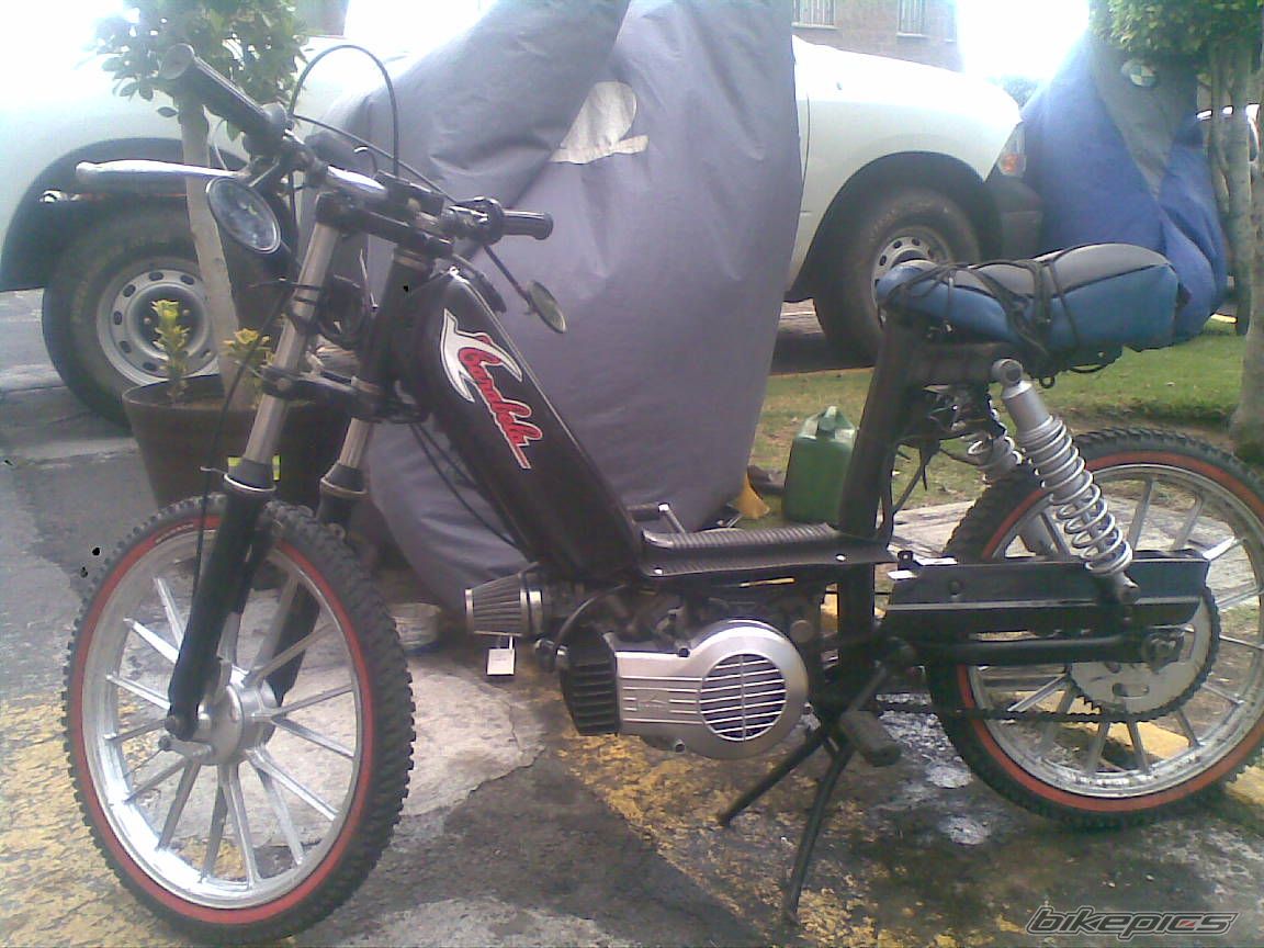 Photo 2346542