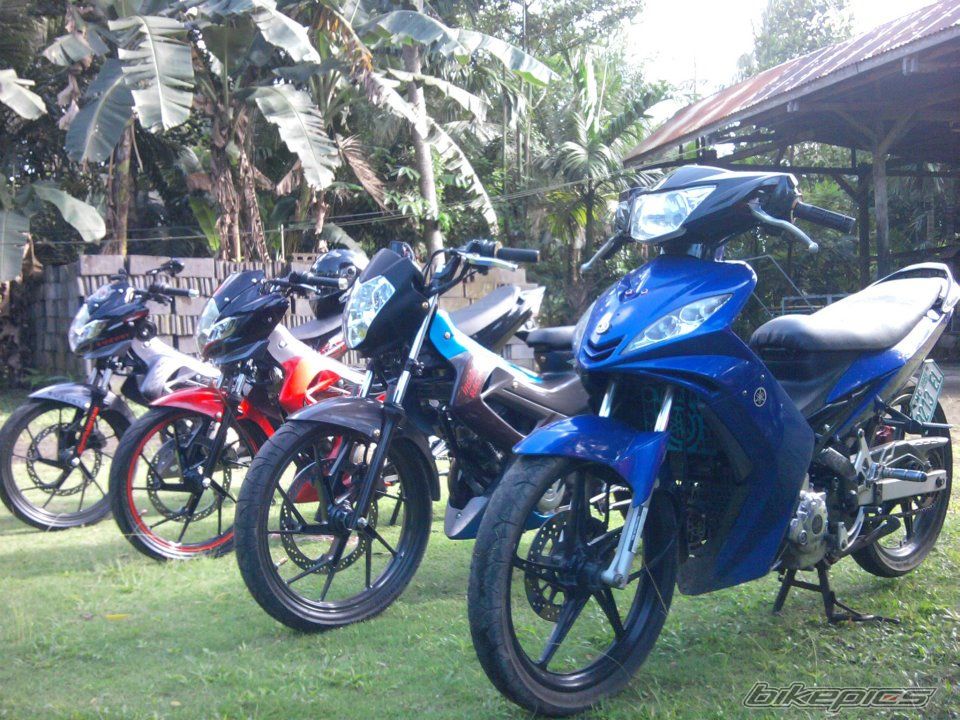 Photo 2346568