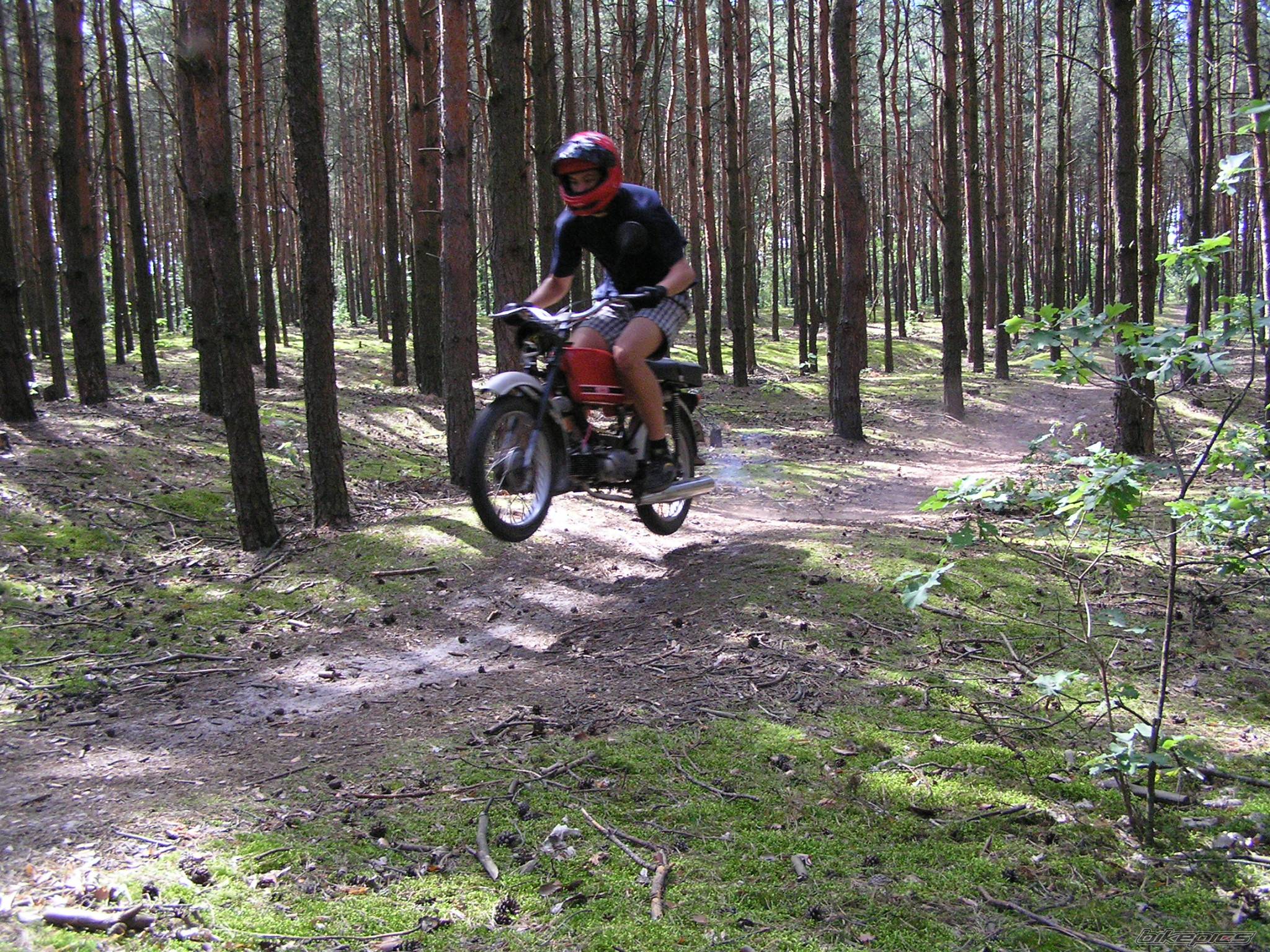 Photo 234659