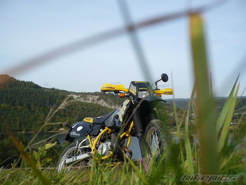 Photo 2346638