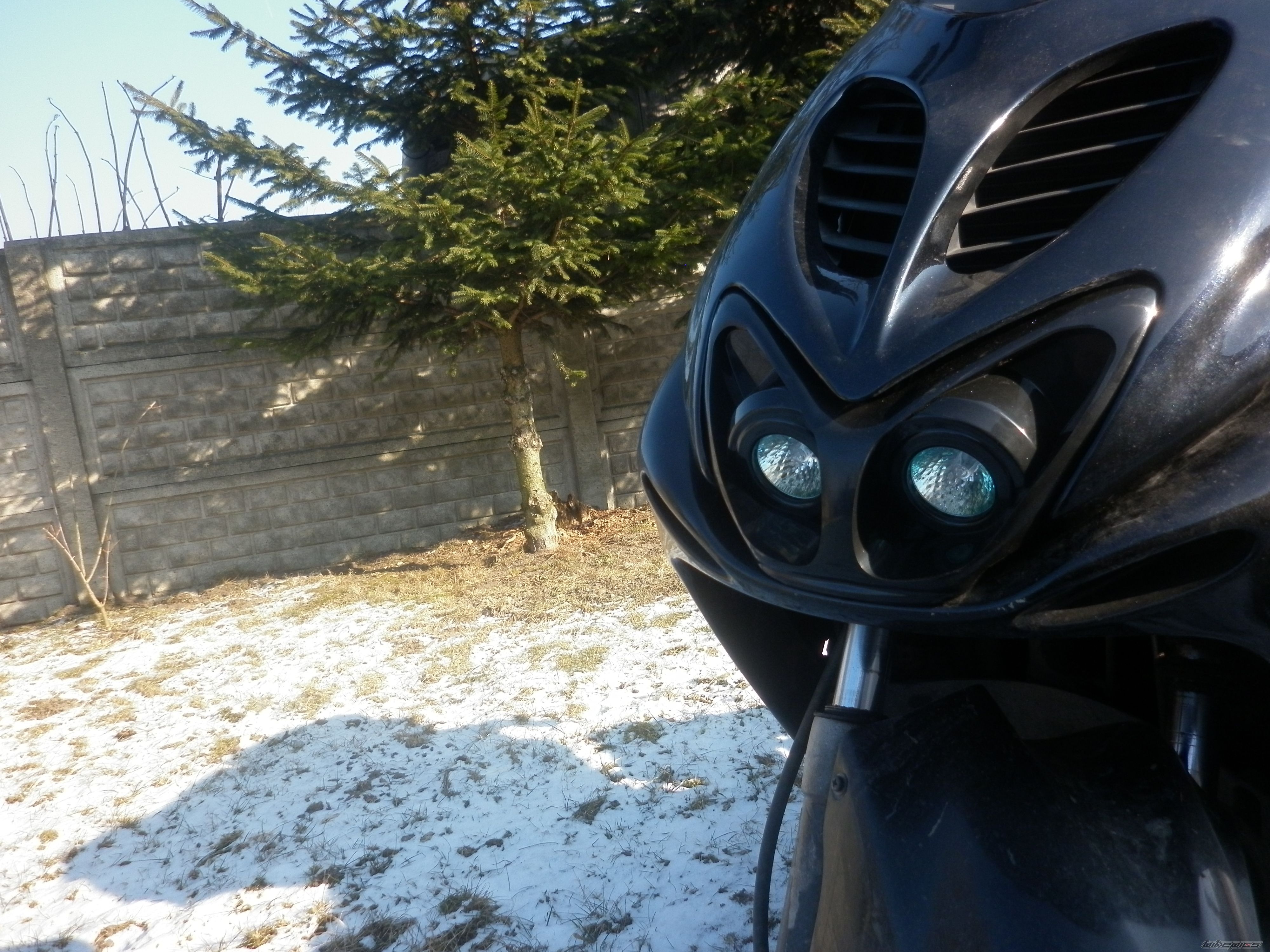Photo 2346676