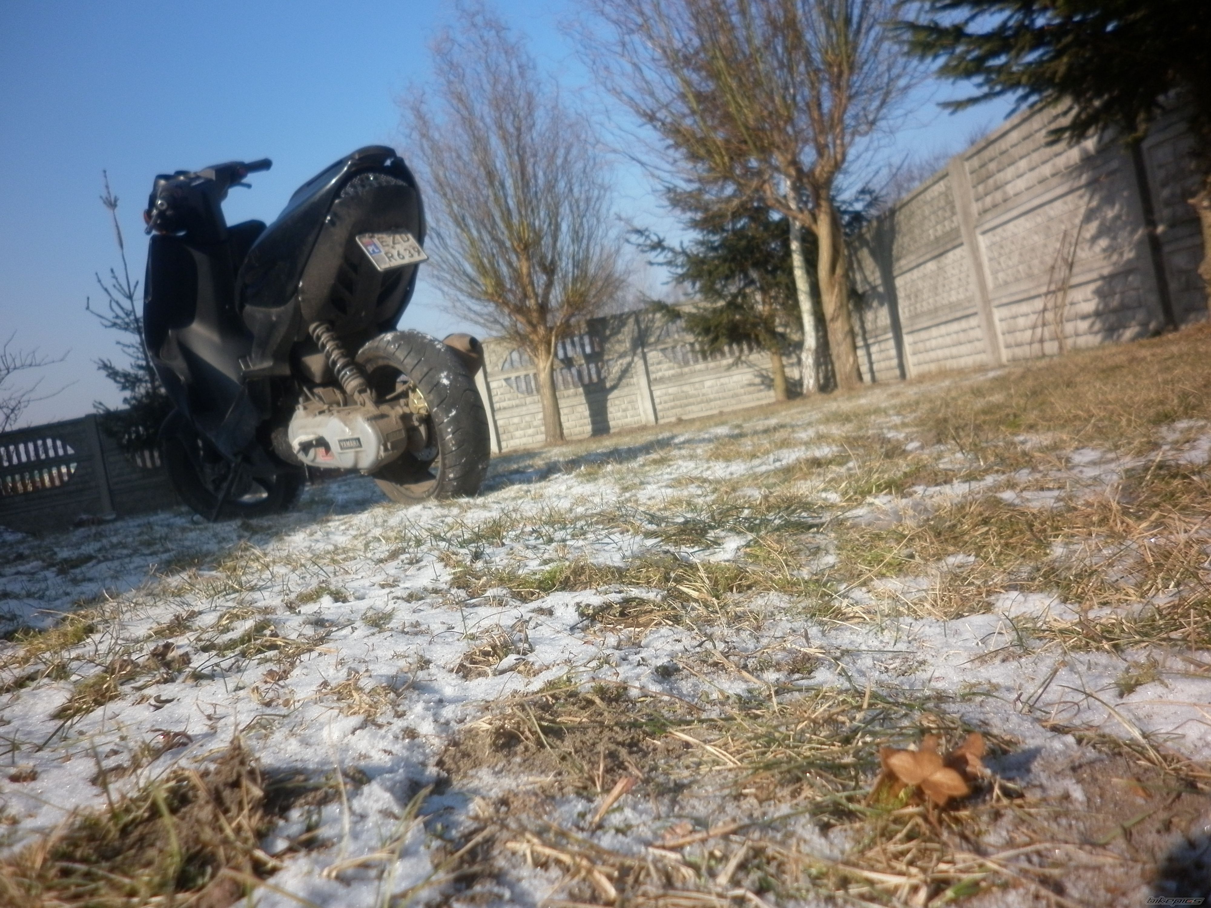 Photo 2346681