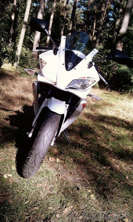 Photo 2346714