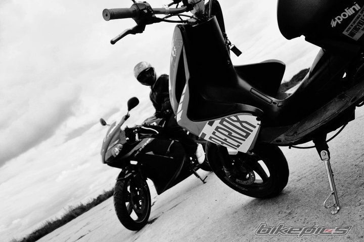 Photo 2346727