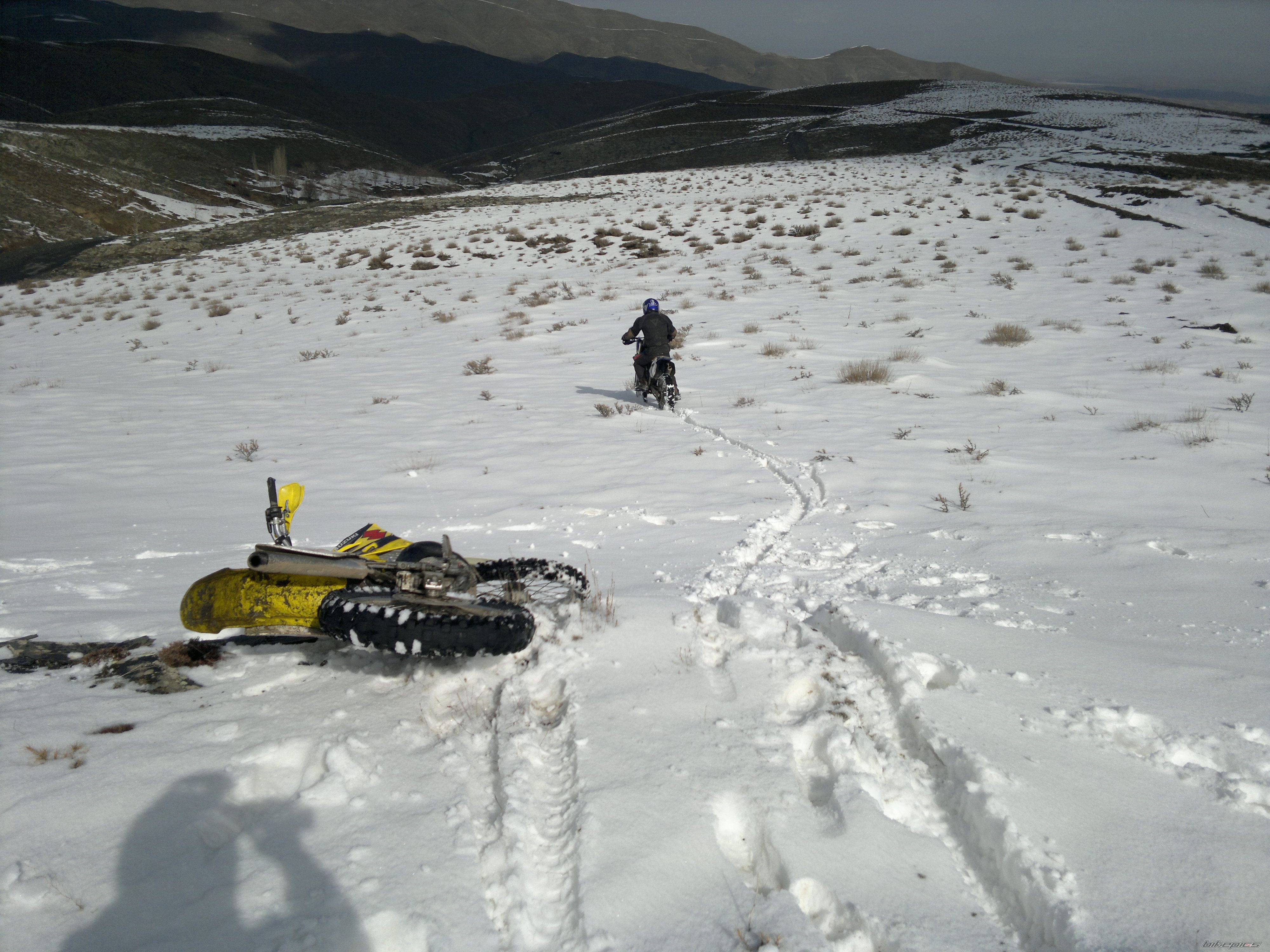 Photo 2346739