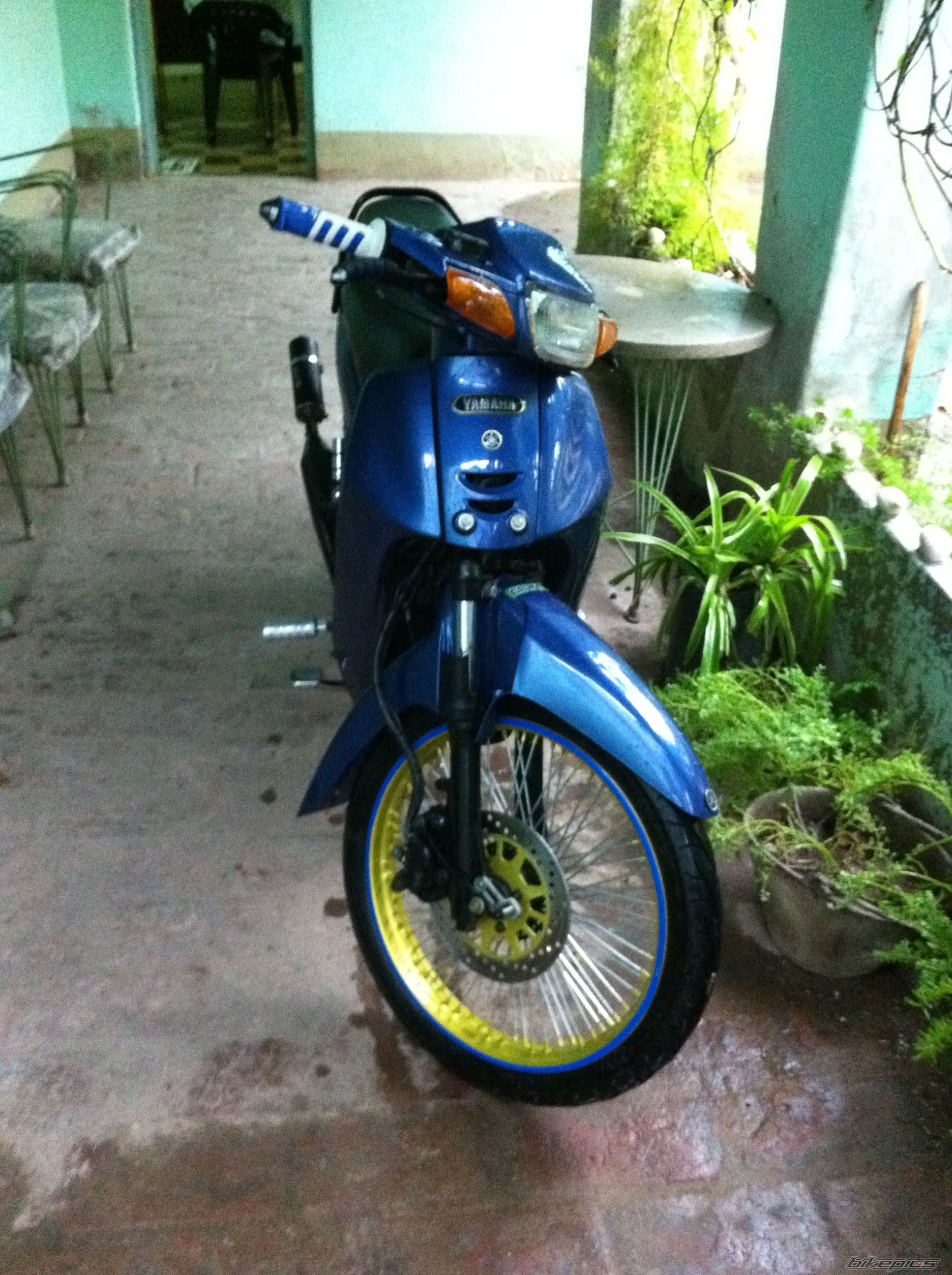 Photo 2346789