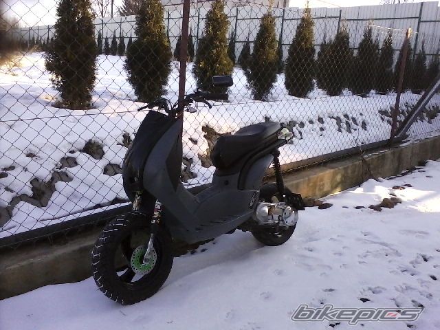 Photo 2346807