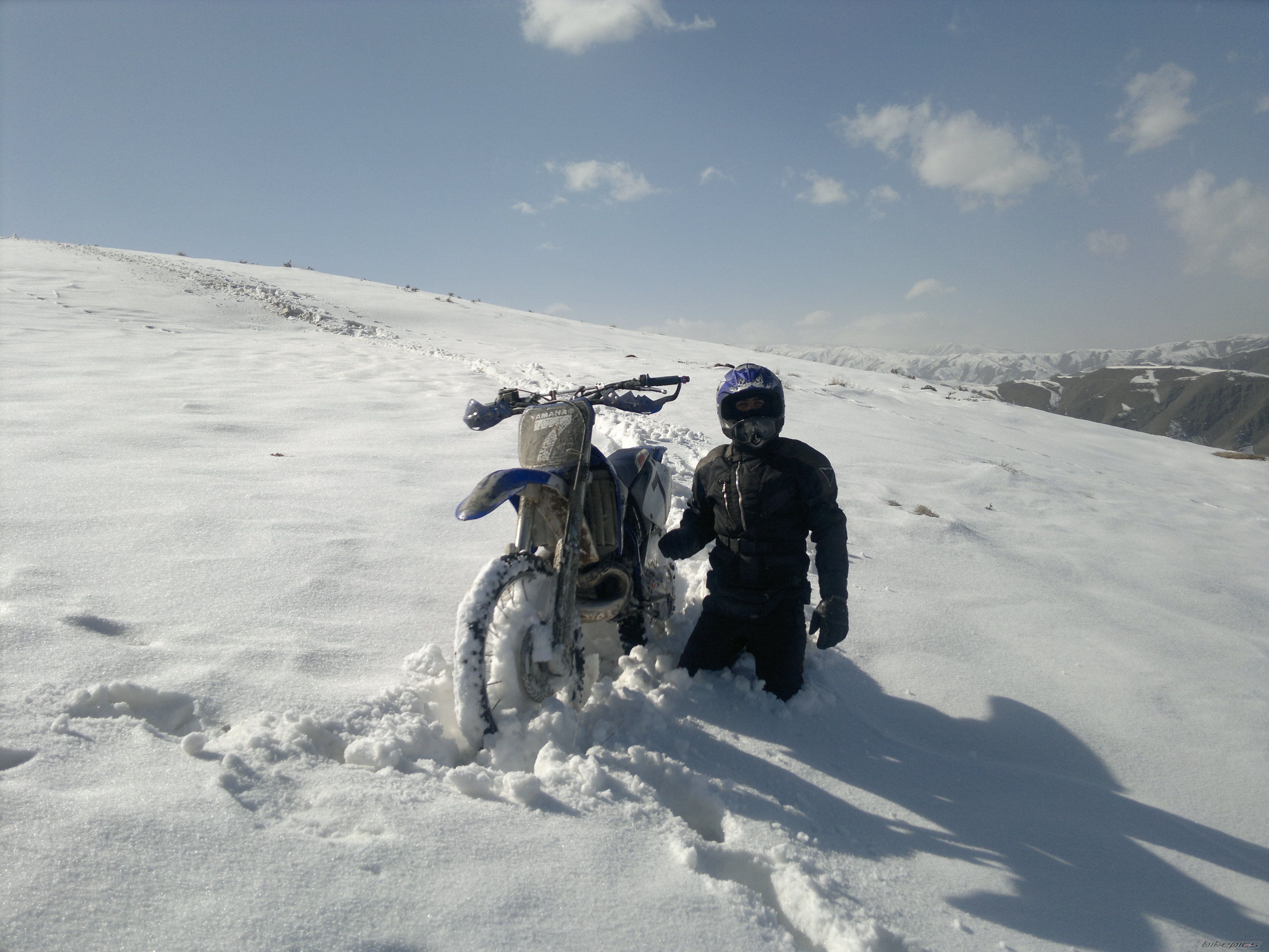 Photo 2346831