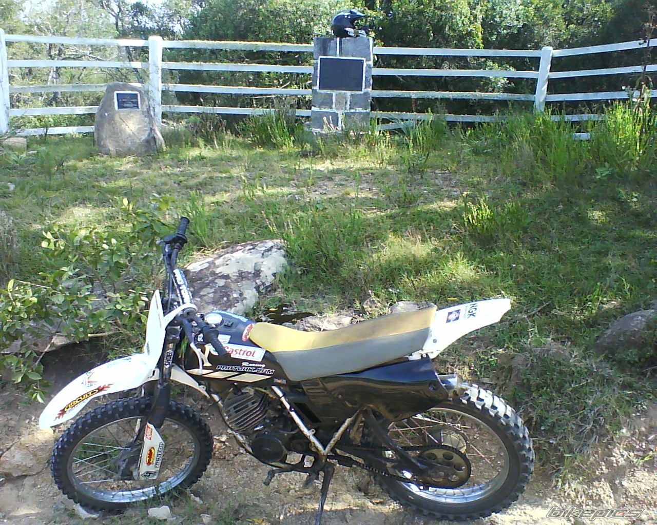 Photo 2346856