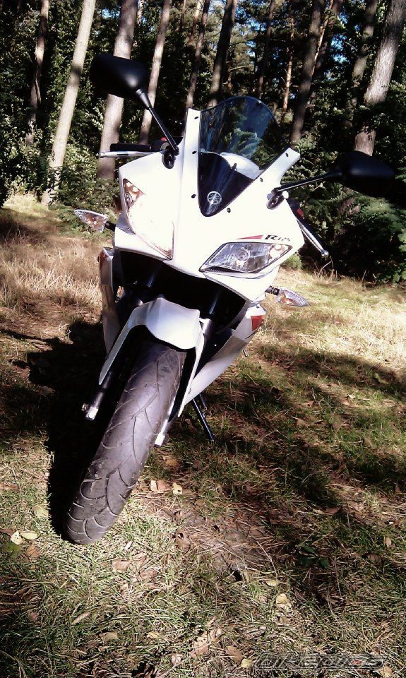 Photo 2346867