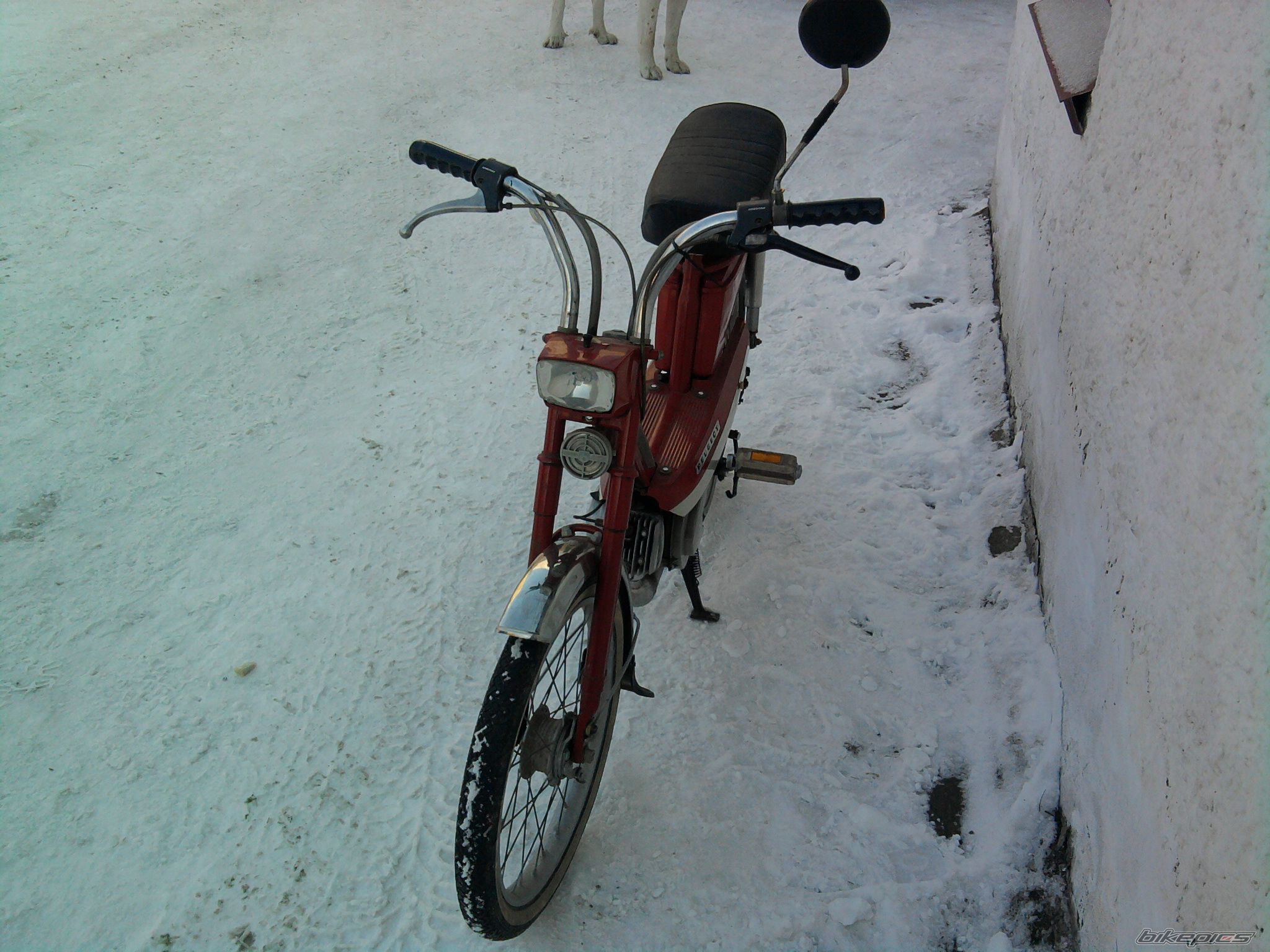 Photo 2346868