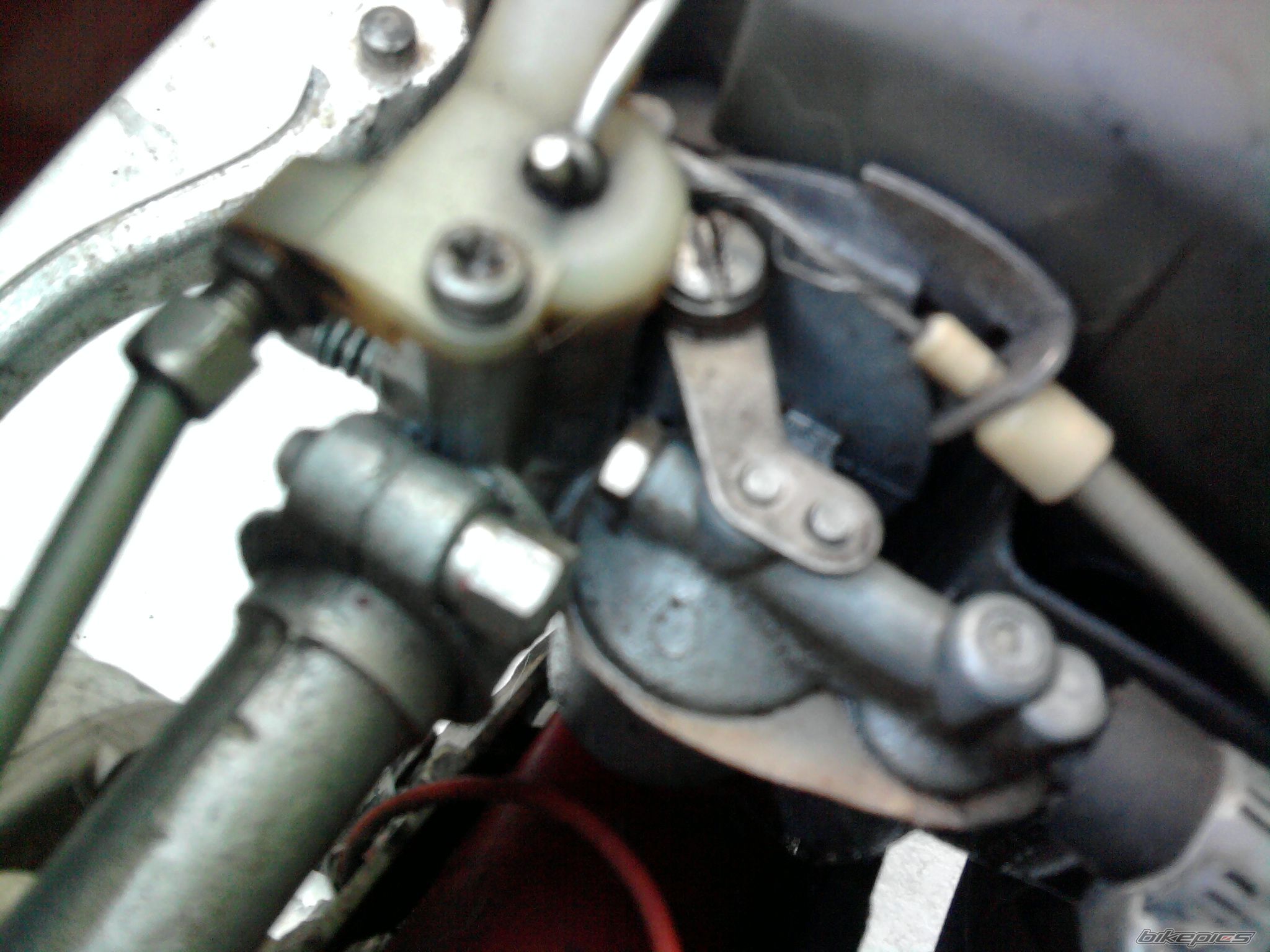 Photo 2346891