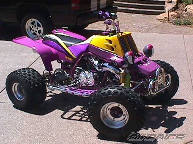 Photo 23469
