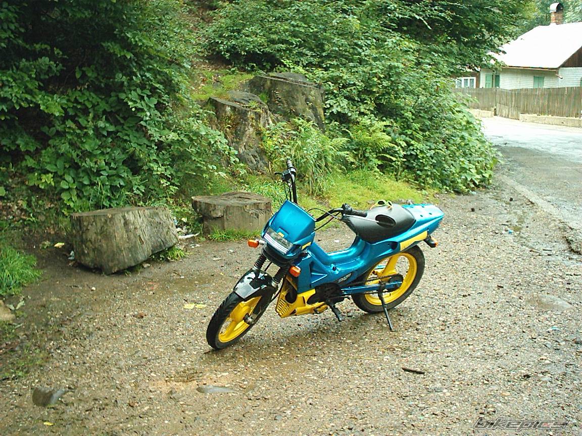 Photo 234691