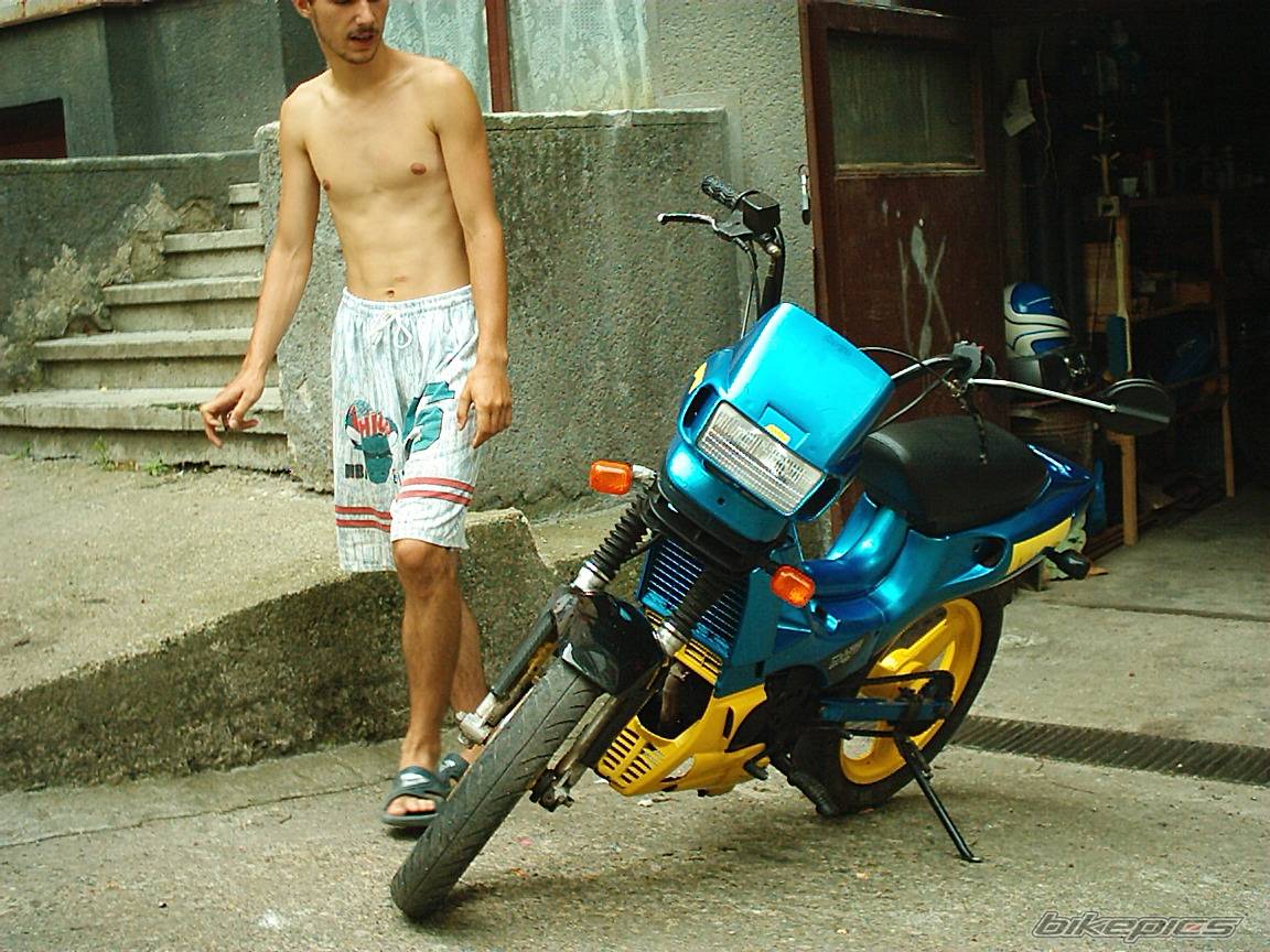Photo 234694
